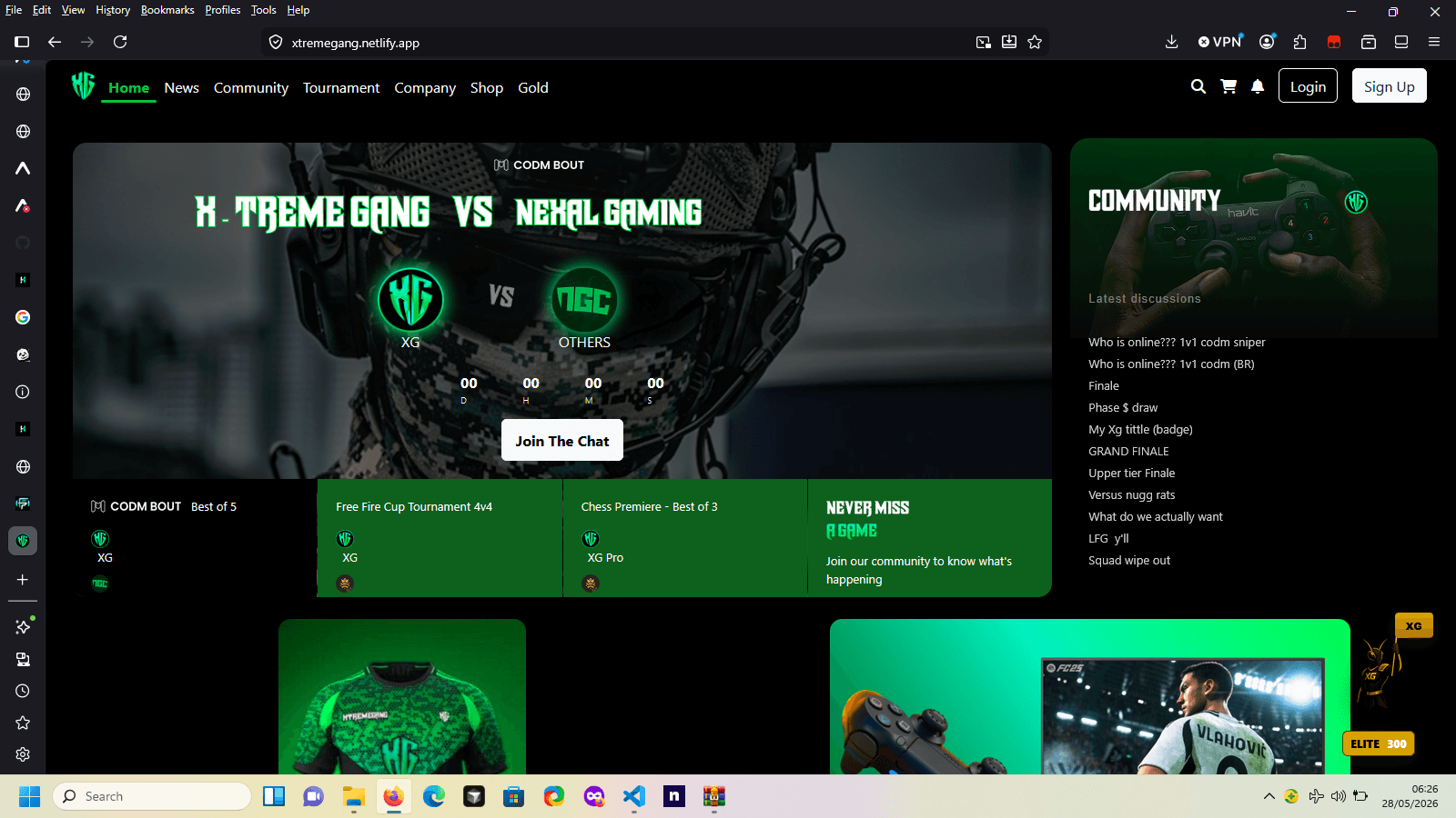 Gaming website preview